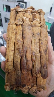 Hồng sâm khô hộp thiếc hàn quốc