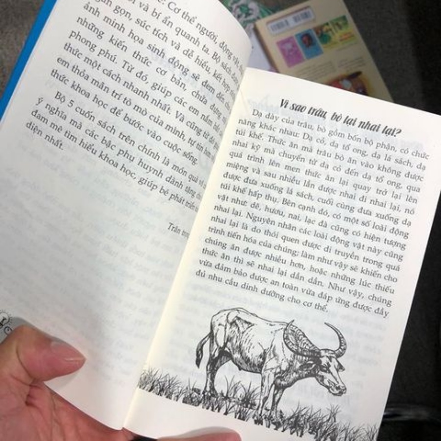 Sách 10 Vạn Câu Hỏi Vì Sao: Vũ Trụ Kỳ Bí, Thực Vật, Động Vật, Cơ Thể Người, Bí Ẩn Quanh Ta (Bộ 5 cuốn)