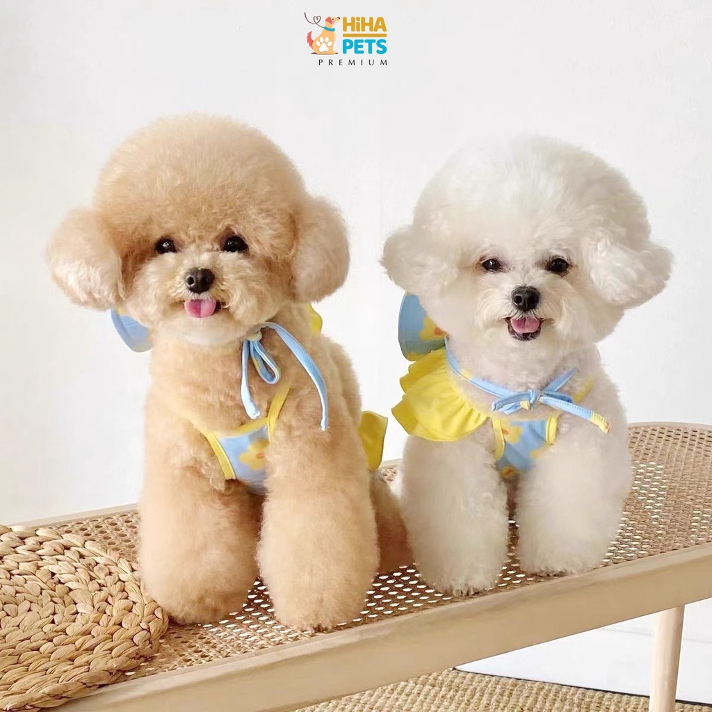 Áo Bơi Cho Chó Mèo Có Nón Quần Áo Bơi Cho Thú Cưng Hàn Quốc Thời Trang Cao Cấp Hiha Pets.
