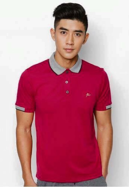 Áo thun nam thương hiệu Colo cổ dệt chất vải Spandex | BigBuy360 - bigbuy360.vn