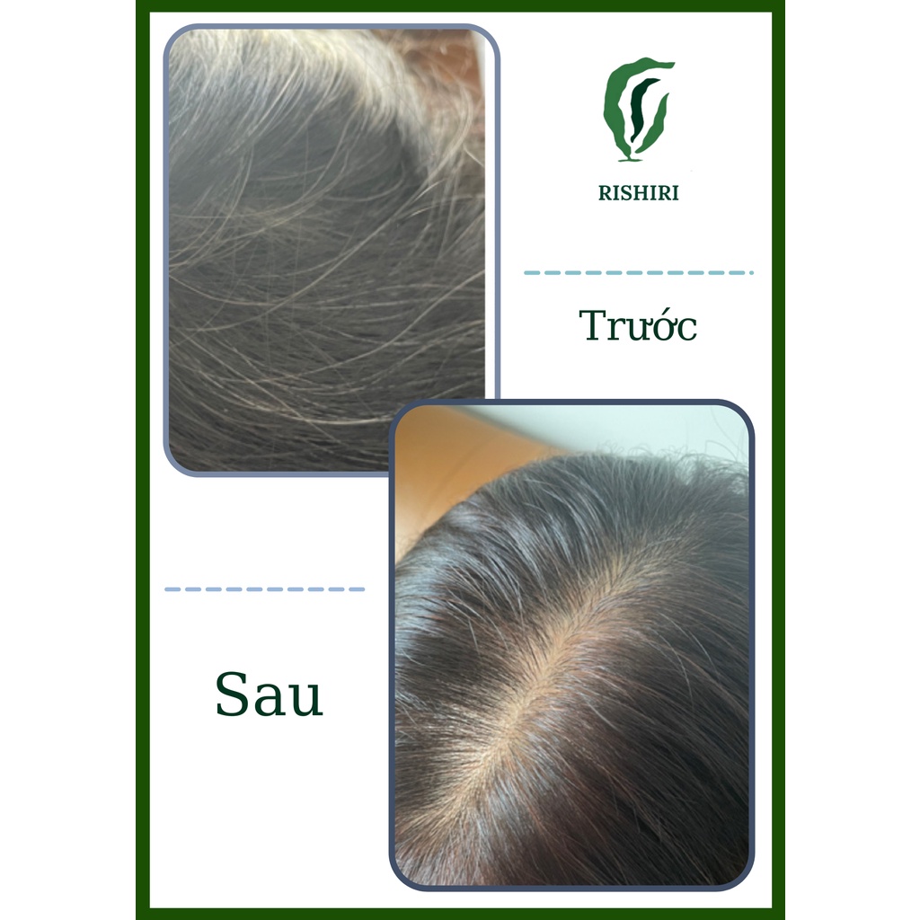 Màu nhuộm tóc phủ bạc thiên nhiên màu Nâu Tối Cao Cấp Nhật Bản RISHIRI 200ml