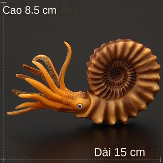 ♧❐Trẻ em mô phỏng rắn mô phỏng động vật cổ đại mô hình đồ chơi trẻ em Cambrian Nautilus Ammonite rắn đá phong trào động
