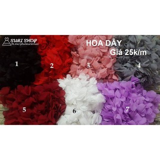 HOA DÂY CHIFFON