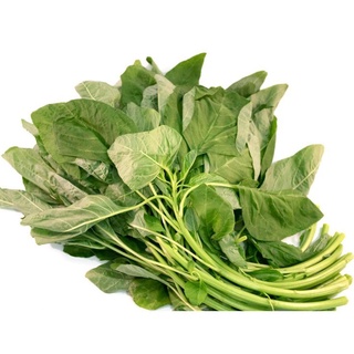 Hạt Giống Rau Dền Xanh (20g)
