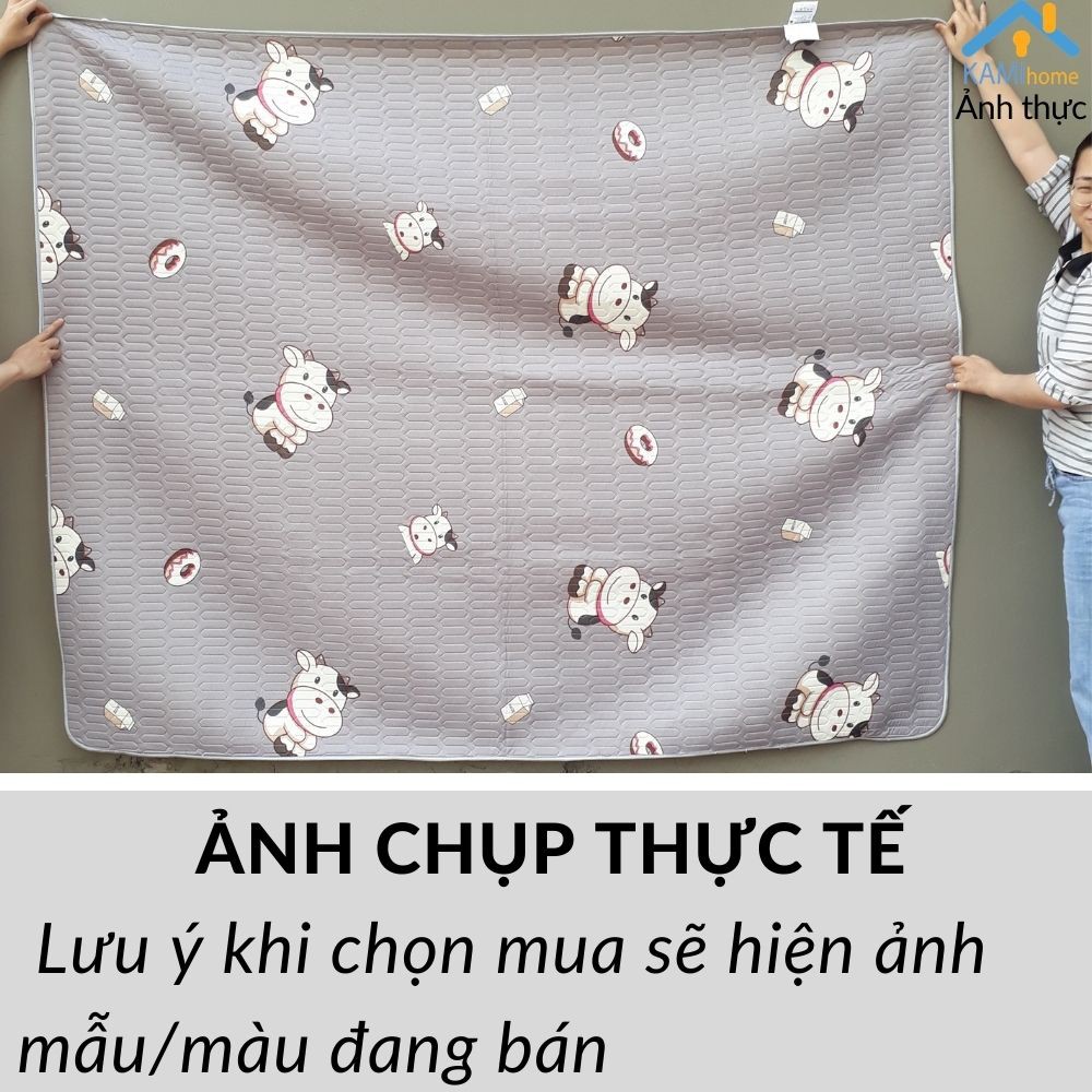 Chiếu vải điều hòa cao su non họa tiết 3D cho trẻ em dùng cho mùa hè có kèm vỏ gối và chọn Cỡ