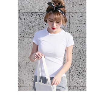 Áo Thun Cotton Cao Cấp (Premium Cotton T-Shirt)