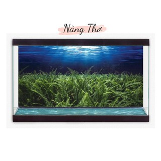 DECAL HỒ CÁ_TRANH 3D CÂY THUỶ SINH
