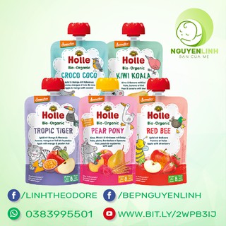 Sinh tố Holle trái cây hữu cơ túi 100g