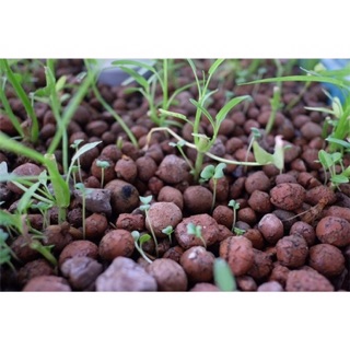 Một bao 50dm3 sỏi nhẹ( đất sét nung ) dùng trồng cây-aquaponics