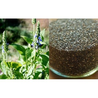 Hạt Chia tím hàng chuẩn Uc 1kg