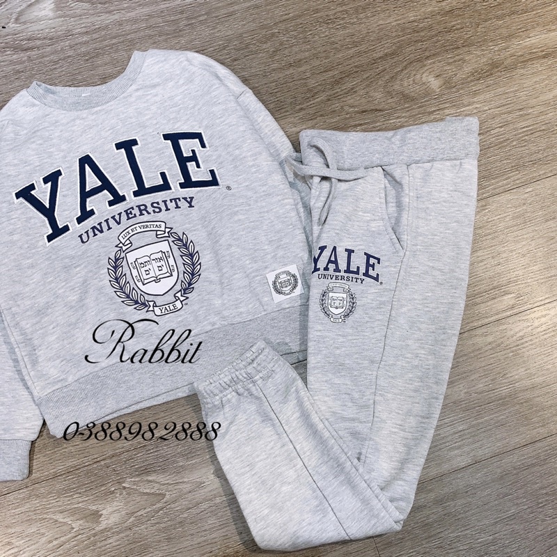 Bộ nỉ Primark Yale