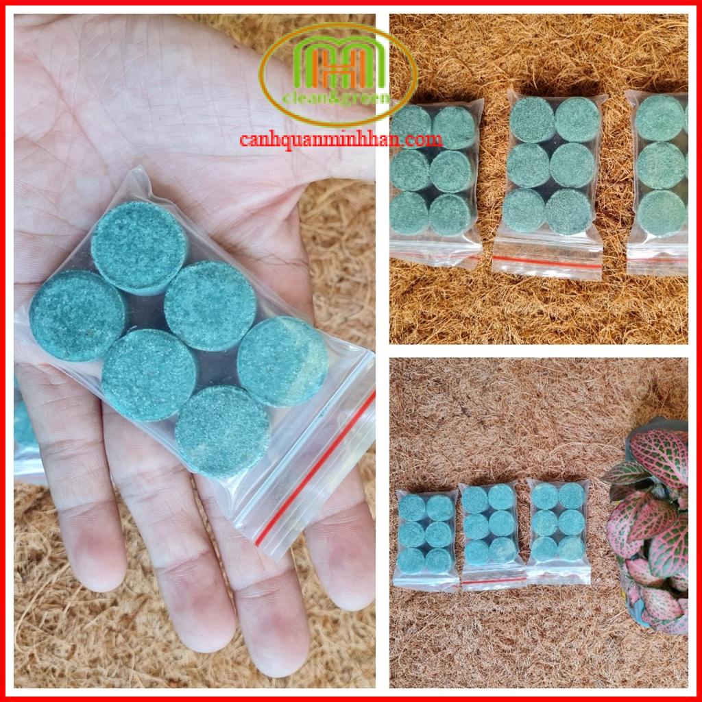 Viên phân bón cho Sen sung cây thủy sinh, cây mọng nước sứ xương rồng sen đá NPK 16-16-8 TE 1 viên cho 3 tháng