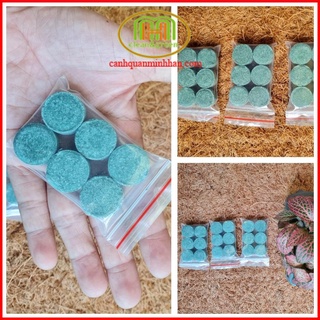 Viên phân bón cho Sen sung cây thủy sinh, cây mọng nước sứ sen đá NPK 16-16-8 TE 1 viên cho 3 tháng