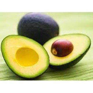 Cây giống bơ sáp