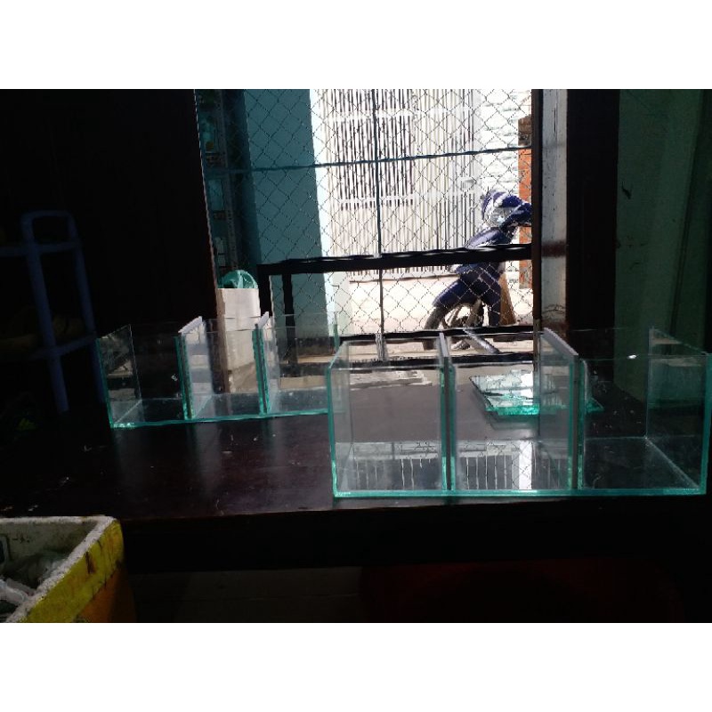 Hồ Cá Betta 03 ngăn