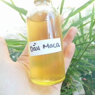 Dầu macca nhà tự ép