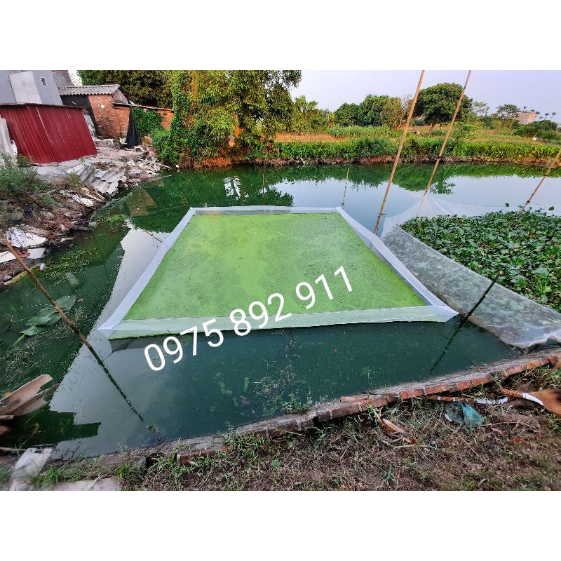 Tráng , vèo , lồng ươm bèo cám - kích thước to