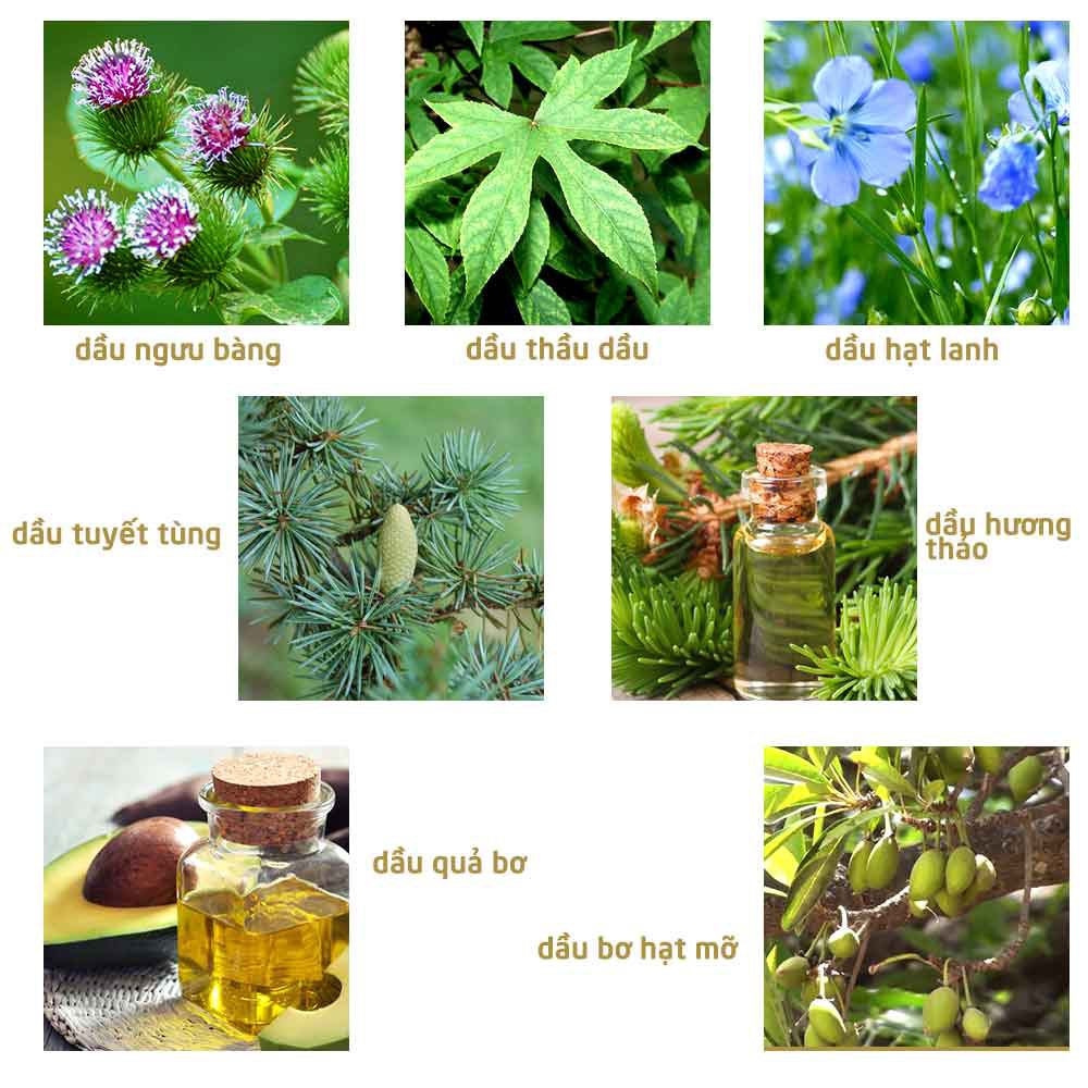 Serum kích thích mọc tóc Elfa❤️Freeship❤️Dược mỹ phẩm | BigBuy360 - bigbuy360.vn