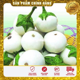 Hạt Giống Cà Pháo Trắng(2 gr)