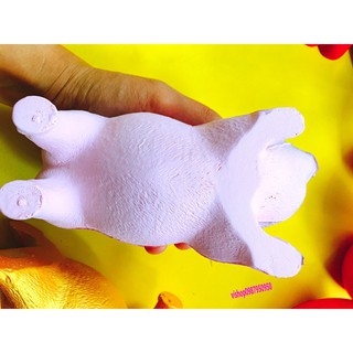  SquiShy HEO VÀNG  Wyiyi