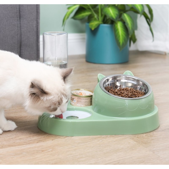 *Hoả tốc* BÁT ĂN CHỐNG GÙ KÈM BÌNH NƯỚC TỰ ĐỘNG DÀNH CHO CHÓ MÈO