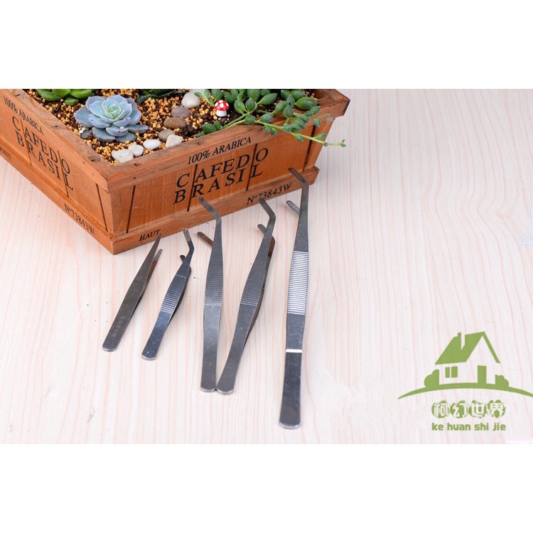 Nhíp Gắp Cây Nhỏ, Nhíp Trồng Cây, Tiểu Cảnh Sân Vườn