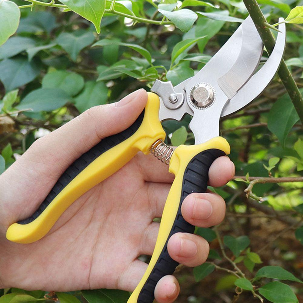 TAYLOR1 Kéo Cắt Tỉa Cành Làm Vườn Tiết Kiệm Sức Lao Động Tiện Dụng