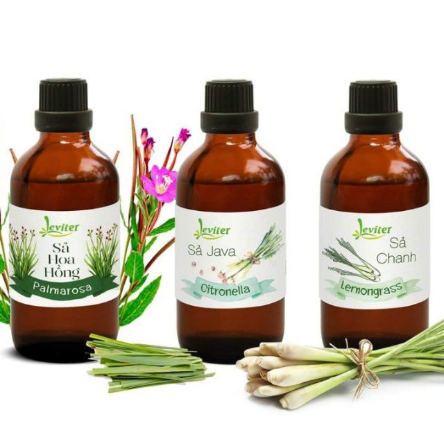 Combo  3 chai tinh dầu 100ml - Sả Chanh, Sả Hoa Hồng, Sả java