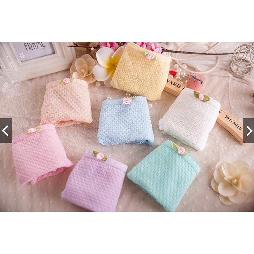 [Mã WASTUP24 giảm 10K đơn 50K] (Siêu yêu) Quần lót cotton thông hơi êm thoáng cho mùa hè 885 | BigBuy360 - bigbuy360.vn