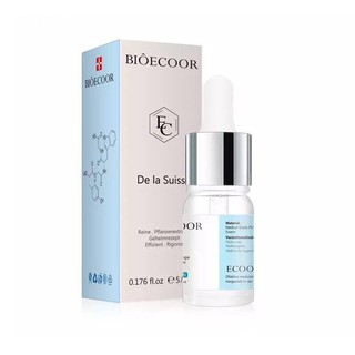 Ampoule Thon gọn Mũi