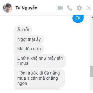 [CỰC NGON, NGỌT] Mực Câu Khô Vân Đồn, Y Hình