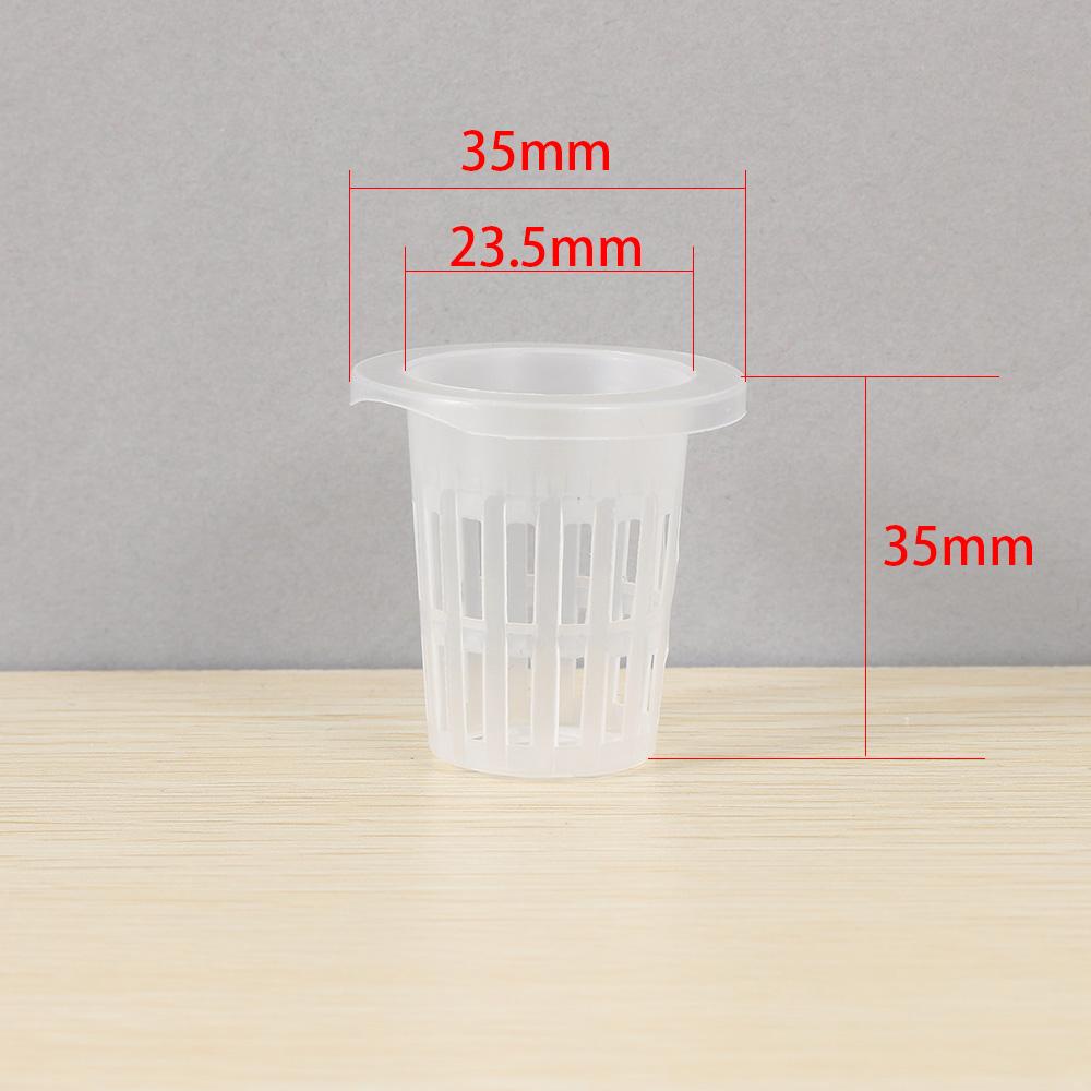 BORAG 10 / 50 Chậu Trồng Cây Thủy Canh Không Cát