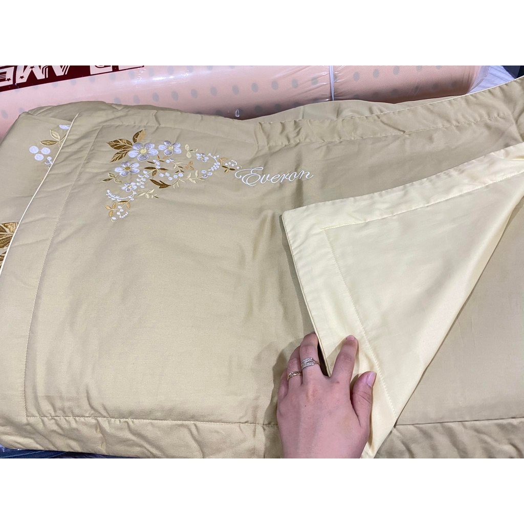 Bộ Drap chun chần EVERON MDSC038