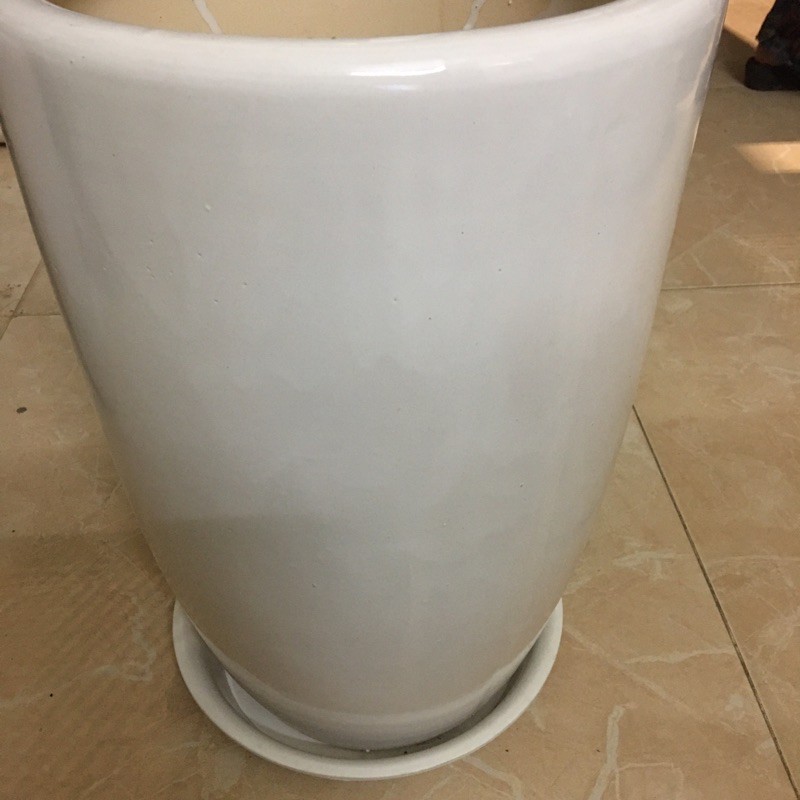 đĩa nhựa hứng nước