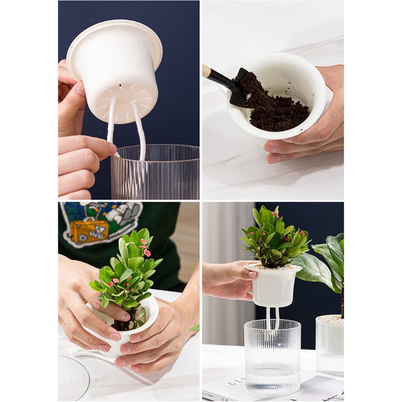 Chậu Nhựa Trồng Cây Thủy Canh 2 Tầng Hình Tròn Màu Trong Suốt Có Dây Thừng