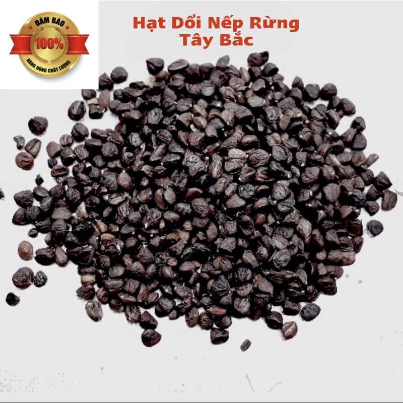 Hạt Dổi Nếp Rừng, Hạt Dổi Tây Bắc thơm lừng, loại gia vị tạo nên thương hiệu ĐẶC SẢN TÂY BẮC