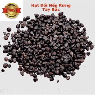Hạt Dổi Nếp Rừng, Hạt Dổi Tây Bắc thơm lừng, loại gia vị tạo nên thương hiệu ĐẶC SẢN TÂY BẮC