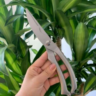 KÉO CẮT GÀ INOX
