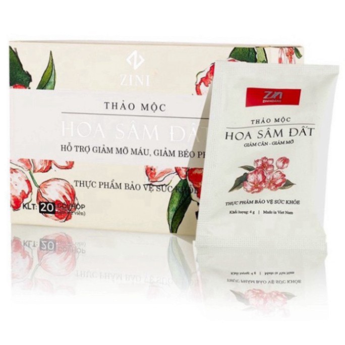 TRÀ THẢO MỘC HOA SÂM ĐẤT