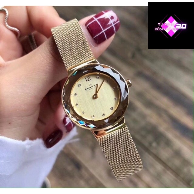 Đồng Hồ Nữ Skagen SK 456SGSG