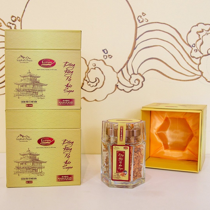 Đông Trùng Hạ Thảo Sấy Khô Sapa Thăng Hoa Traphaco Bồi Bổ Cơ Thể Tăng Cường Miễn Dịch 20gr