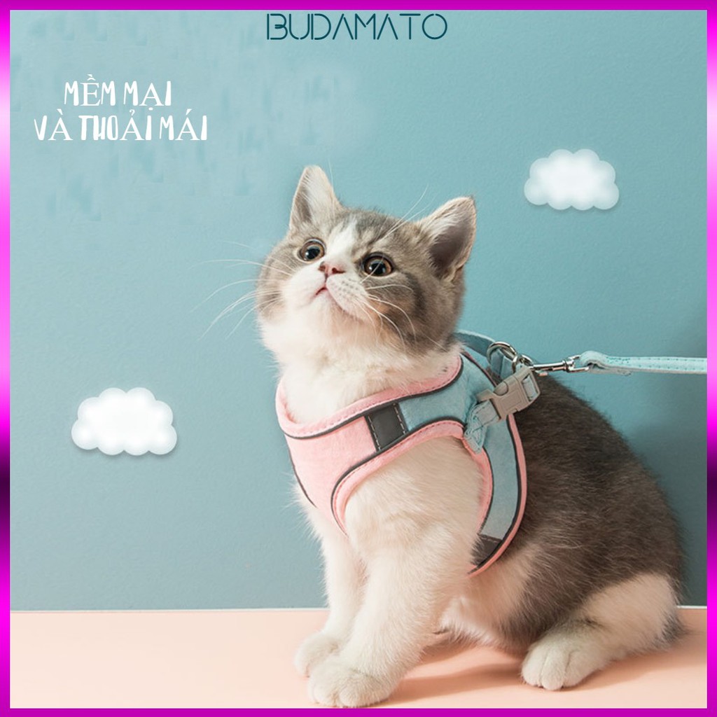 Dây dắt mèo, dây dắt chó phản quang phong cách áo vest