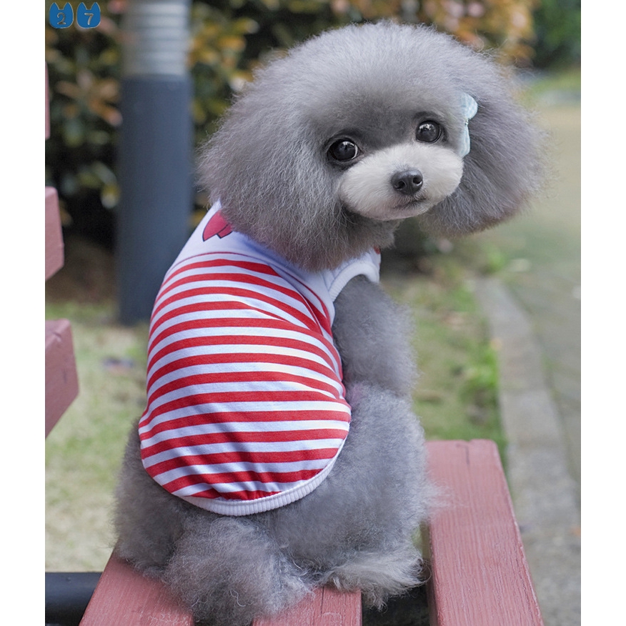 Bộ Đồ Vest 27 Món Bằng Cotton Thắt Nơ Họa Tiết Kẻ Sọc Dành Cho Cặp Đôi Chihuahua