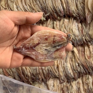 1kg mực khô mini, mực câu size nhỏ dày thịt thơm ngọt dai dai chuẩn quảng ninh