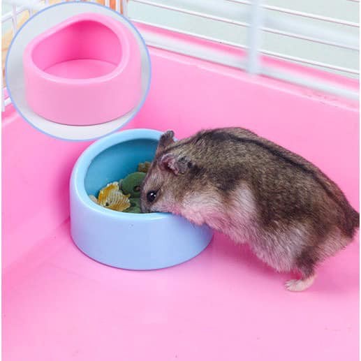 [Mã PET50K giảm Giảm 10% - Tối đa 50K đơn từ 250K] Bát ăn cho Hamster