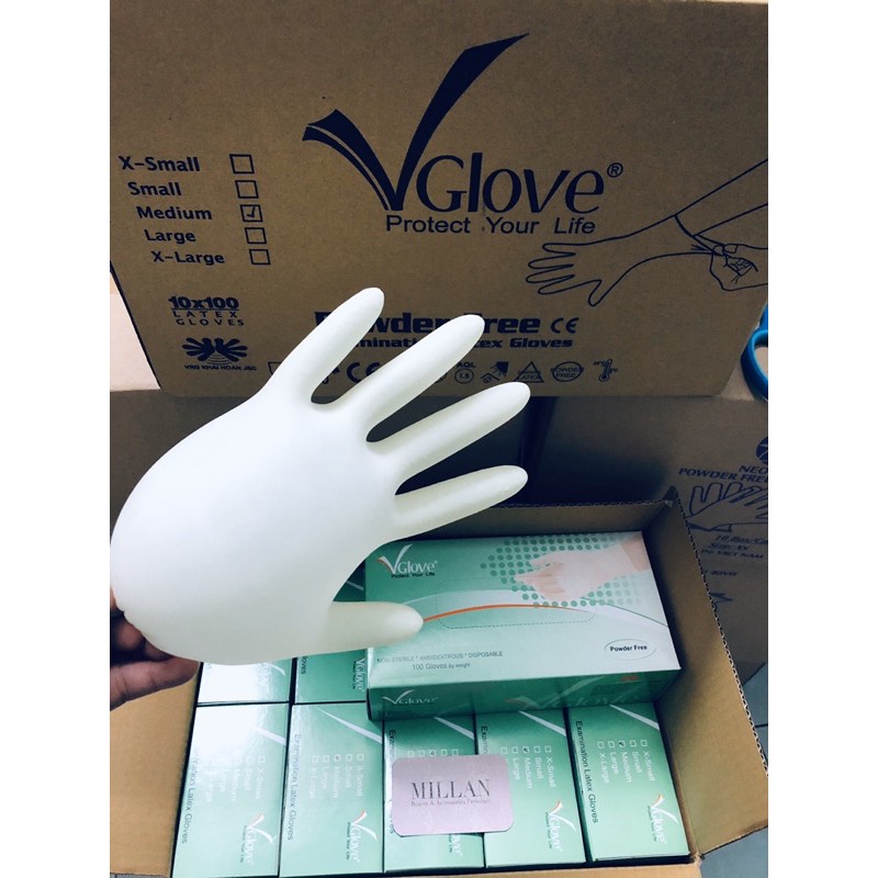 Găng y tế KHÔNG BỘT latex Vglove (50pcs) | BigBuy360 - bigbuy360.vn