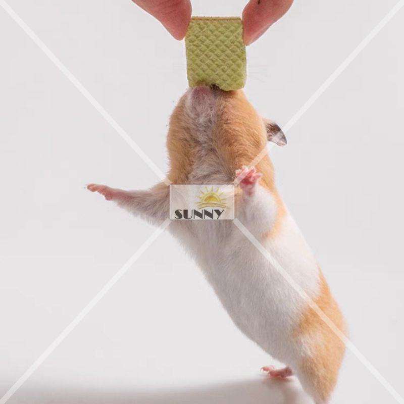 Bánh xốp sữa trái cây cho hamster, thỏ, sóc, bọ