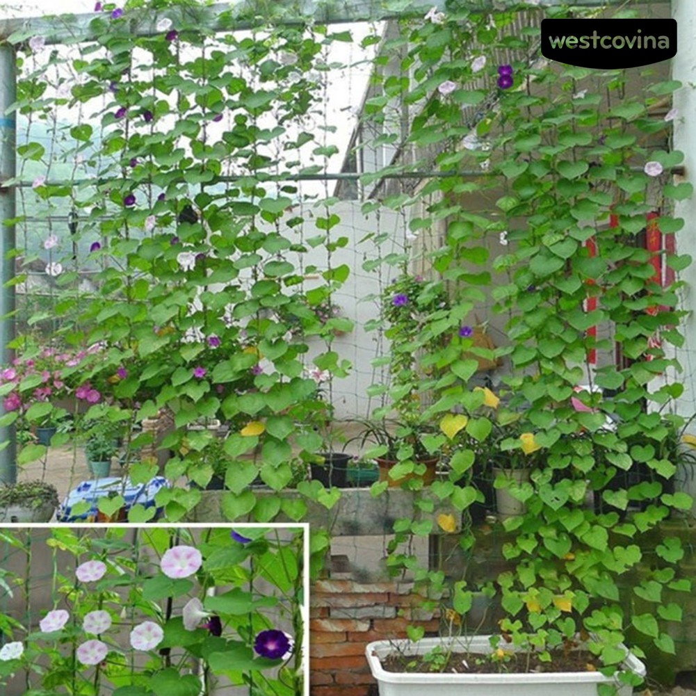 Lưới cho cây dây leo tiện dụng và bền