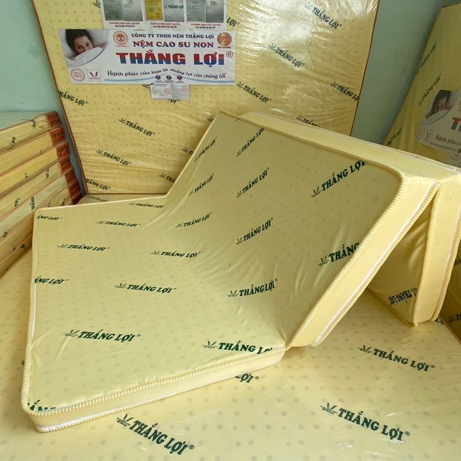 Nệm cao su non Thắng Lợi 5 phân loại gấp 3 (Hàng chính hãng)