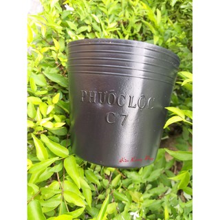 Chậu nhựa đen C7 Bít Lỗ